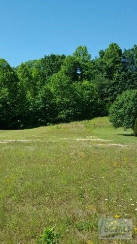 2523 Melvin Propst Road - Photo 1