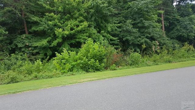 lot 0 South Fork Drive - Photo 1