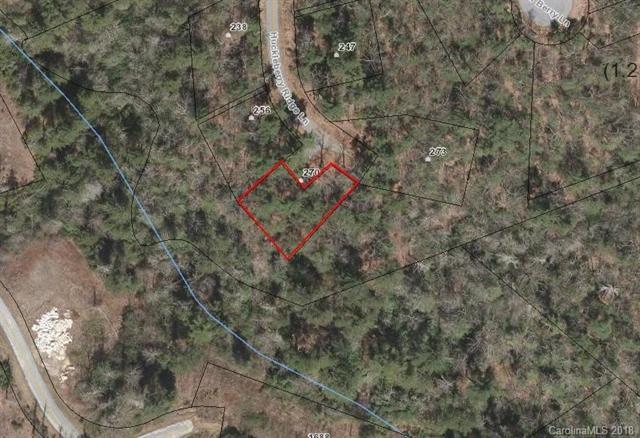 270 Huckleberry Ridge Lane - Photo 1