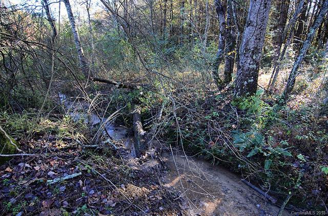 V/L #4 Mud Cut Loop - Photo 1