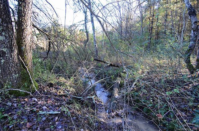 V/L #5 Mud Cut Loop - Photo 1