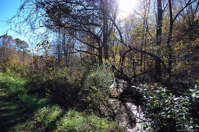 V/L #6 Mud Cut Loop - Photo 1