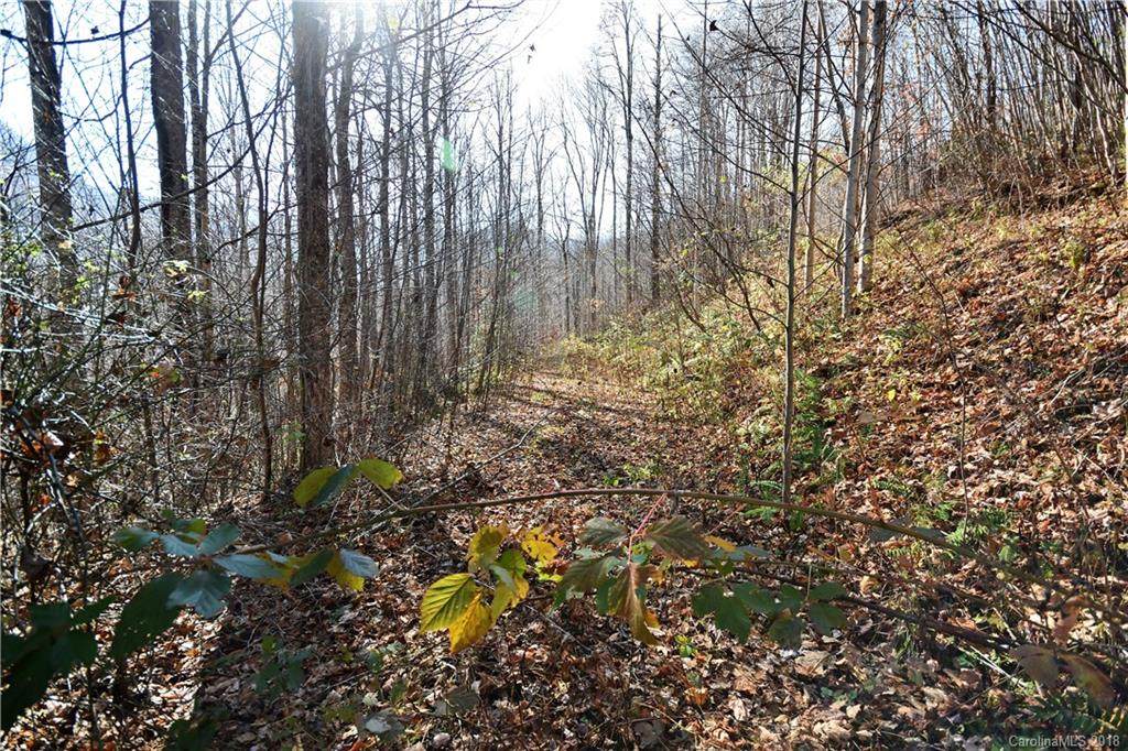 #11 Lot Davy Crockett Drive - Photo 1