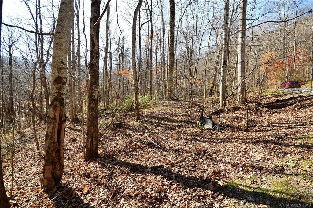 #19 Lot Tranquility Trail - Photo 1