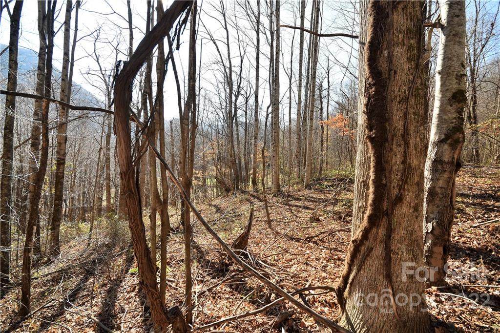#19 Lot Tranquility Trail - Photo 1