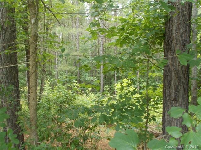 2149 Partridge Berry Lane - Photo 1