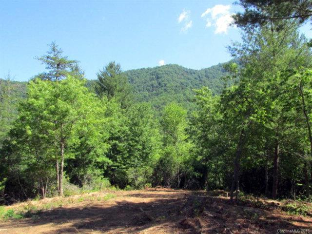 Lot 34 Lavender Way - Photo 1
