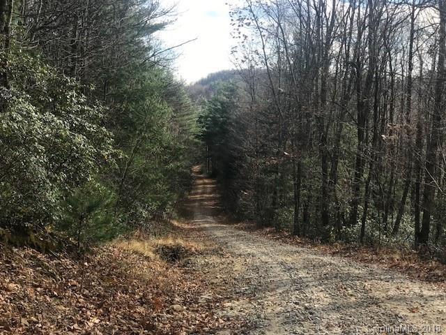 0000 Pine Bluff Road - Photo 1