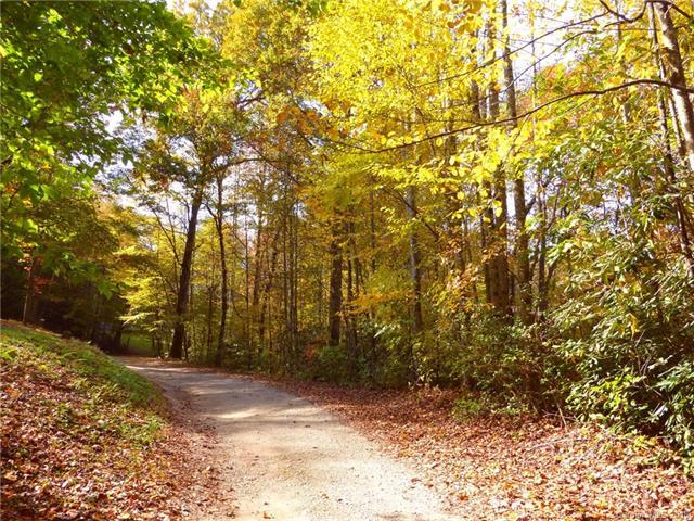 000 Tract 1 Fox Hollow Road - Photo 1 000 Tract 1 Fox Hollow Road - Photo 1