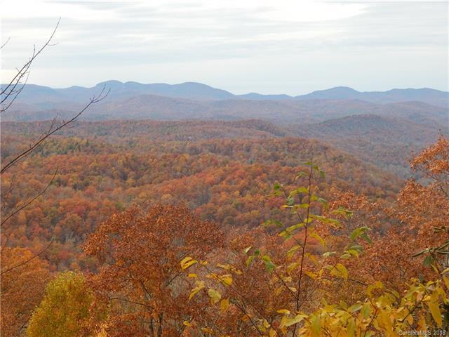 132 Whitetail Trail - Photo 1