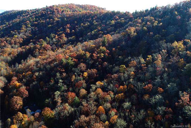 000 Tract 7 Fox Hollow Road - Photo 1