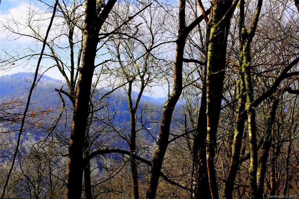 254 Grouse Thicket Road - Photo 1