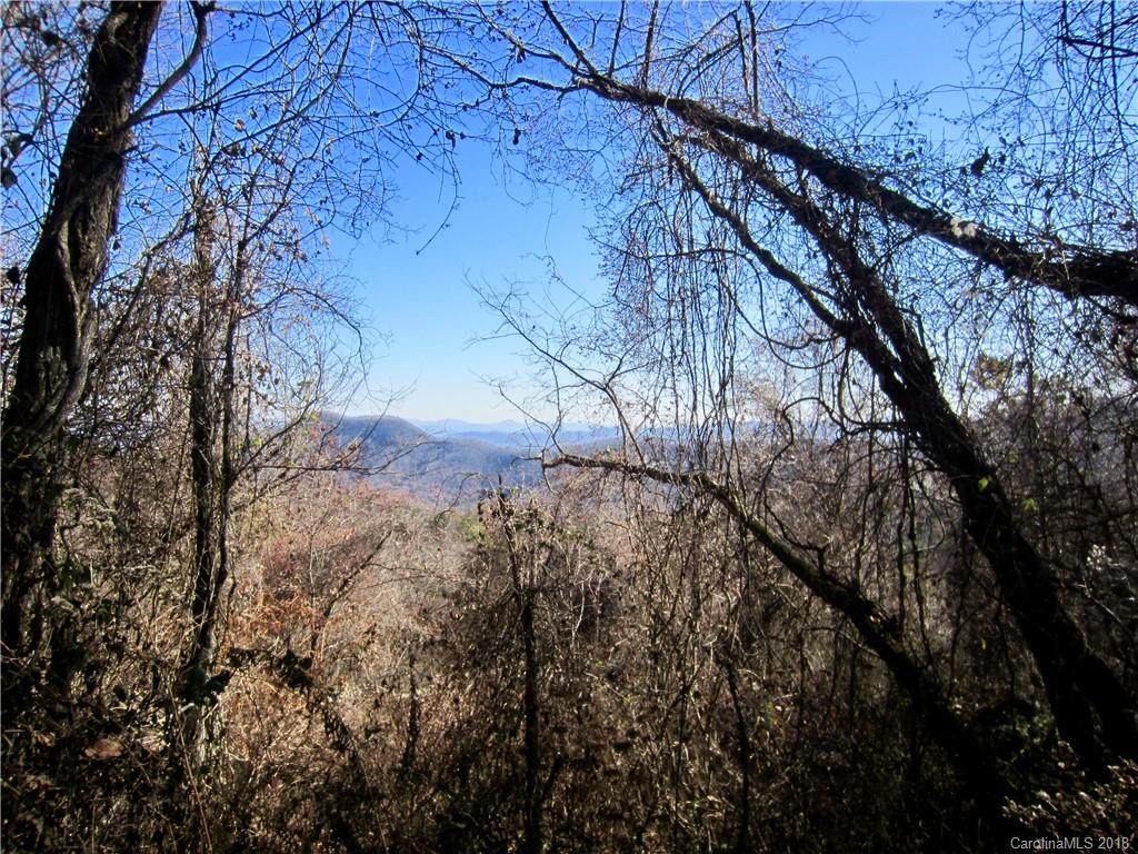 285 Bearwallow Trail - Photo 1