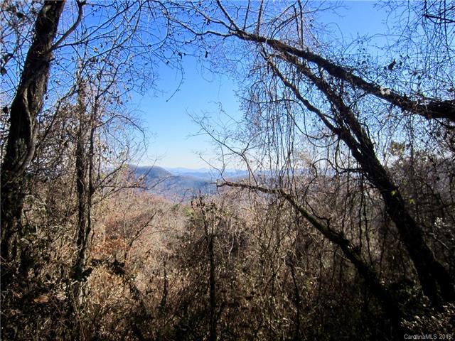 285 Bearwallow Trail - Photo 1