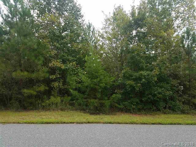 0 Woodstock Lane - Photo 1