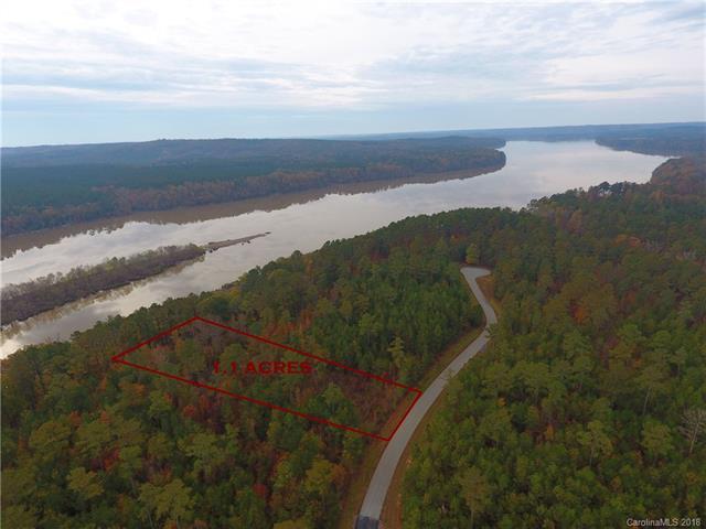 Lot 49 Lakeside Trail - Photo 1