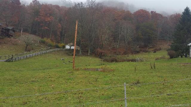 00 Smokey Cove Road - Photo 1