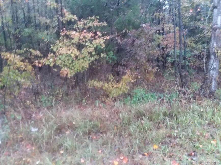 N/A Salem Church Road - Photo 1
