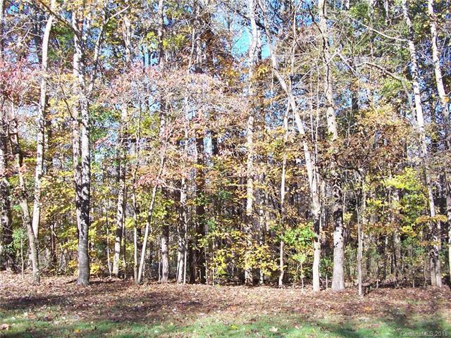 000 Lytton Farm Road - Photo 1