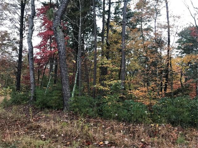 Lot 5 Echo Lane - Photo 1