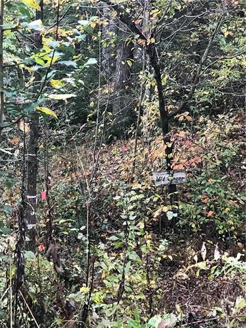 Lot 7 Riverbirch Drive - Photo 1