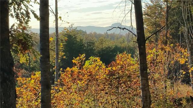 Lot 913 High Valley Way - Photo 1