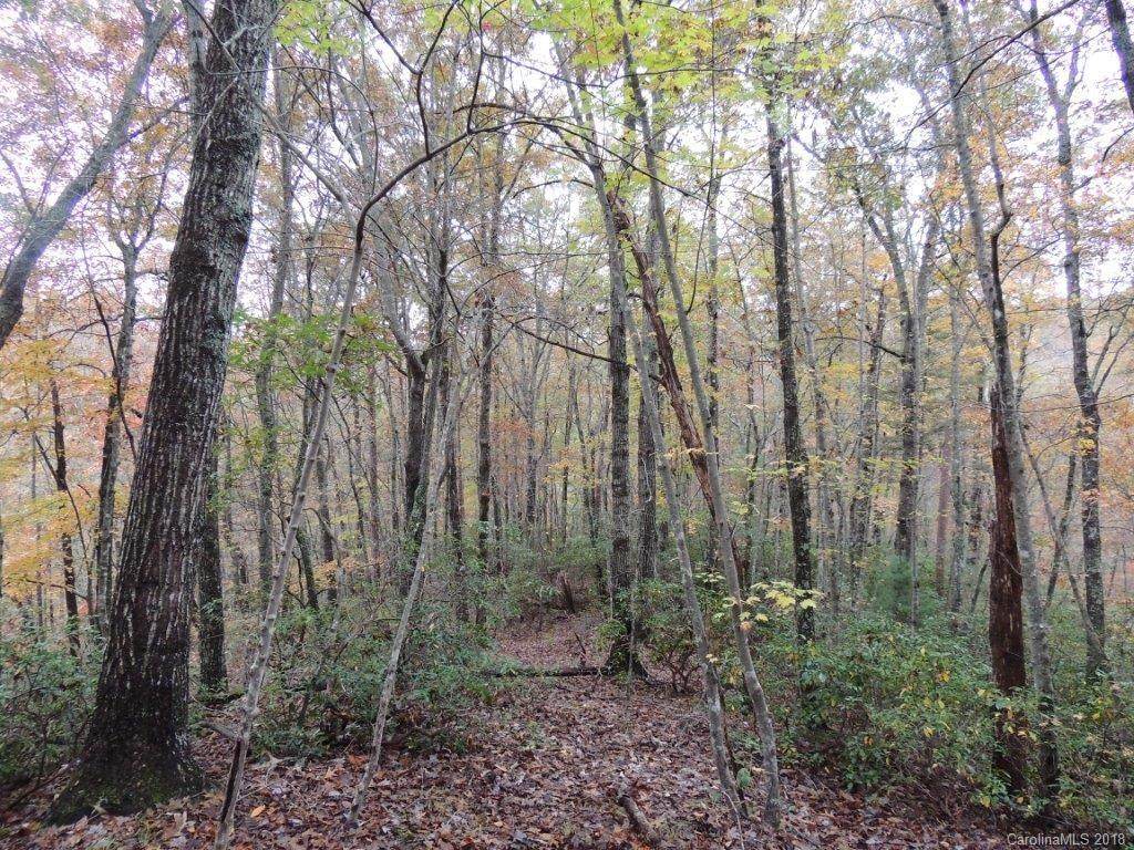 670 Island Creek Road - Photo 1