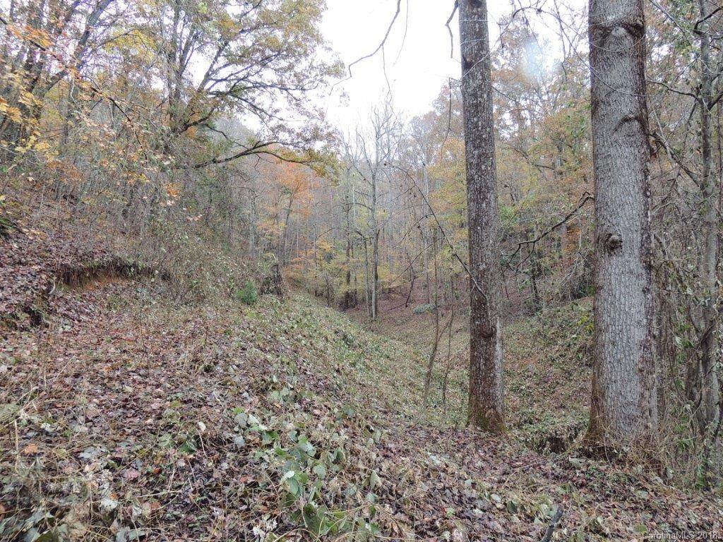 670 Island Creek Road - Photo 1