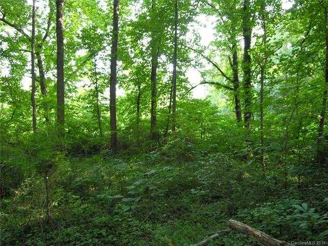 0 Saddle Road - Photo 1