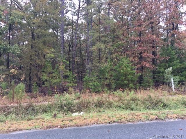 Lot 20 Willoway Lane - Photo 1