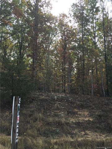 000/Lot 11 Black Highway - Photo 1