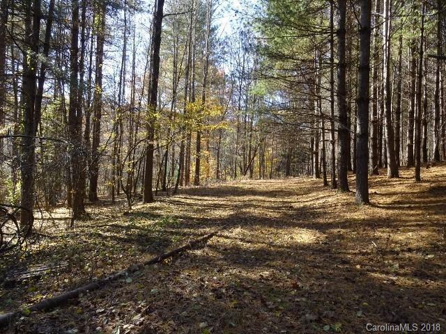 140 Bonnies Cove Trail - Photo 1