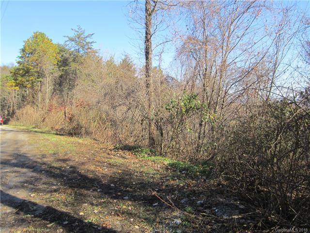 259 Bearwallow Trail - Photo 1