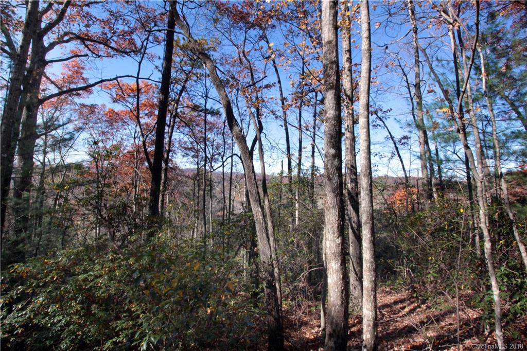 Lot 37 West View Road - Photo 1