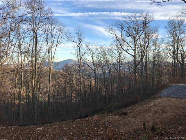 232 Chestnut Forest Road - Photo 1