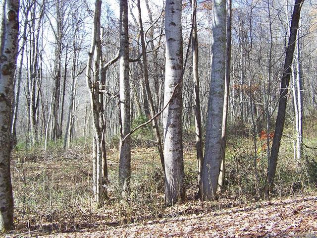 000 Balsam Ridge Road - Photo 1