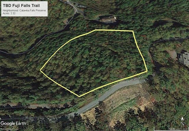 TBD Fuji Falls Trail - Photo 1