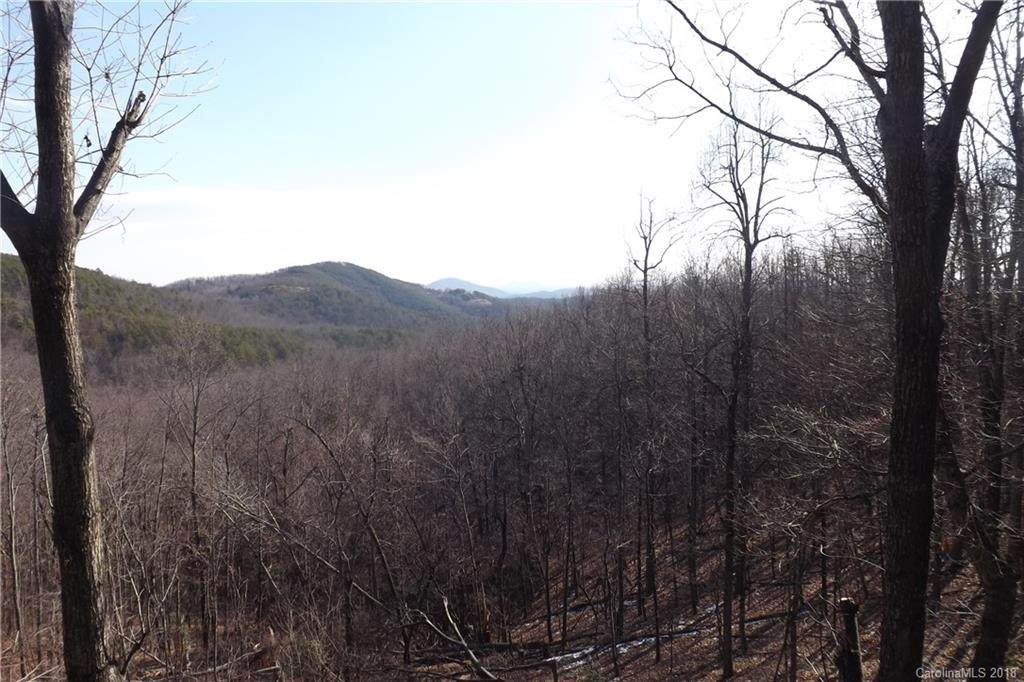 4240 High Peak Mountain Road - Photo 1