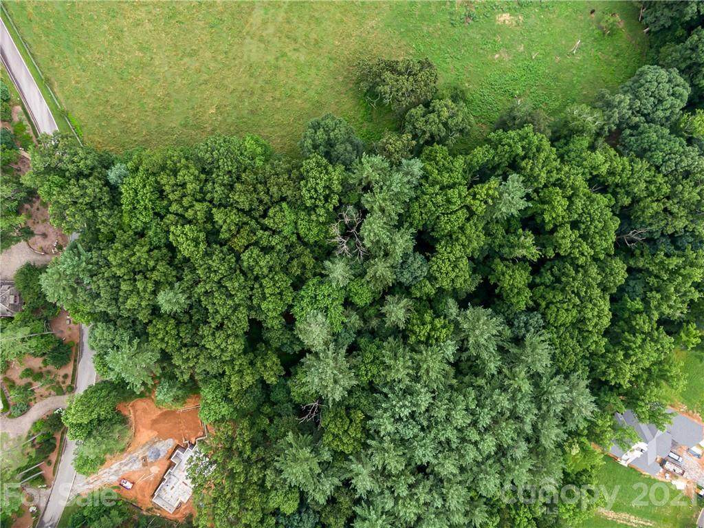 31 Deep Creek Trail - Photo 1