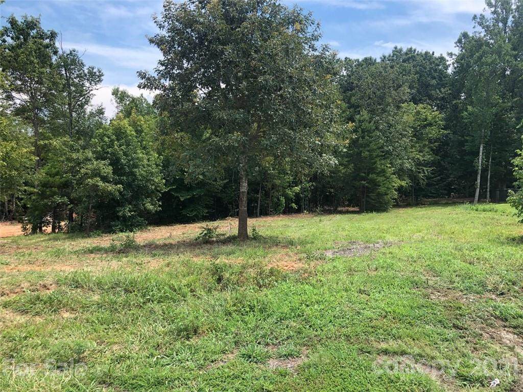 197 Winding Cedar Drive - Photo 1