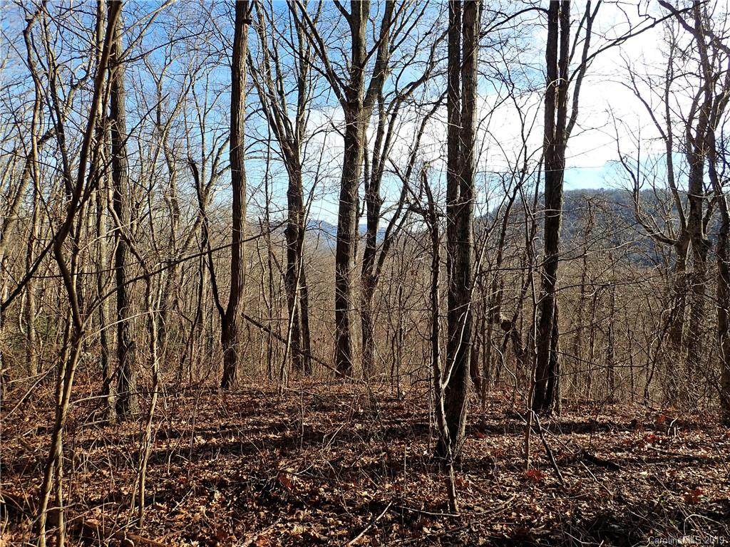 99999 Old Charlotte Highway - Photo 1