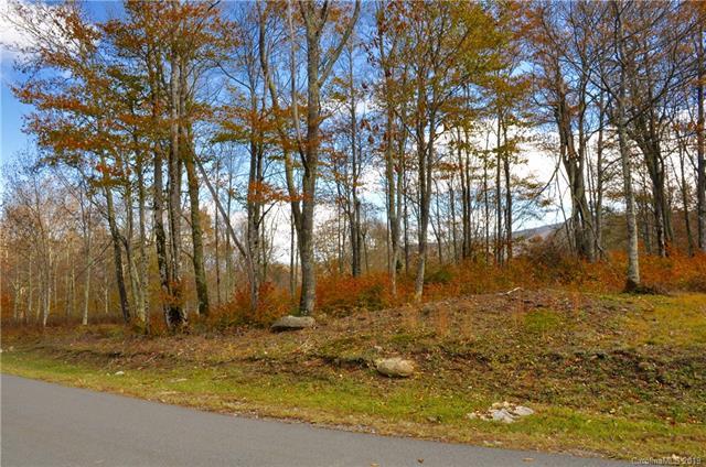 L74 Eagles Nest Trail - Photo 1