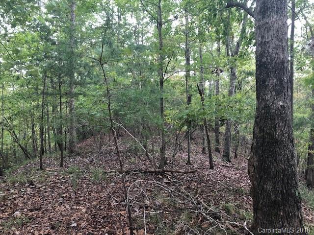 37 Mountain Lane - Photo 1