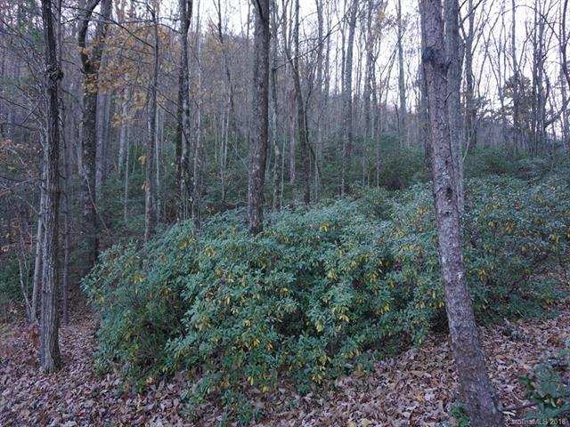 LOT 300 Thrush Court - Photo 1