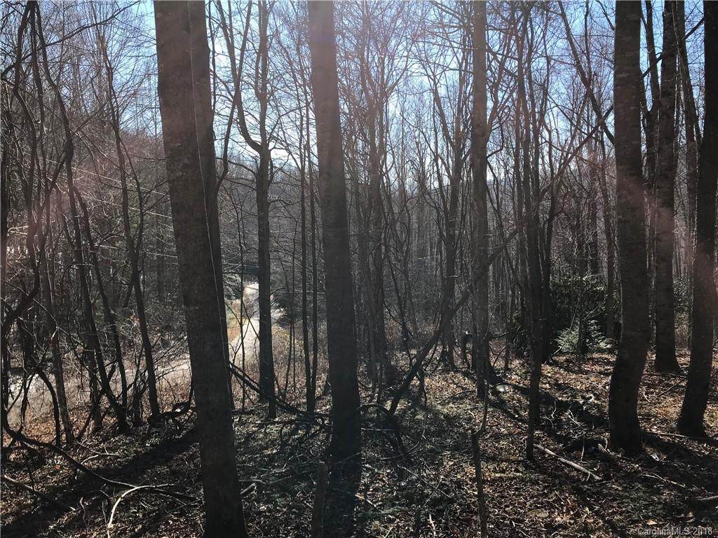 #60 Section 4 Bald Creek Road - Photo 1
