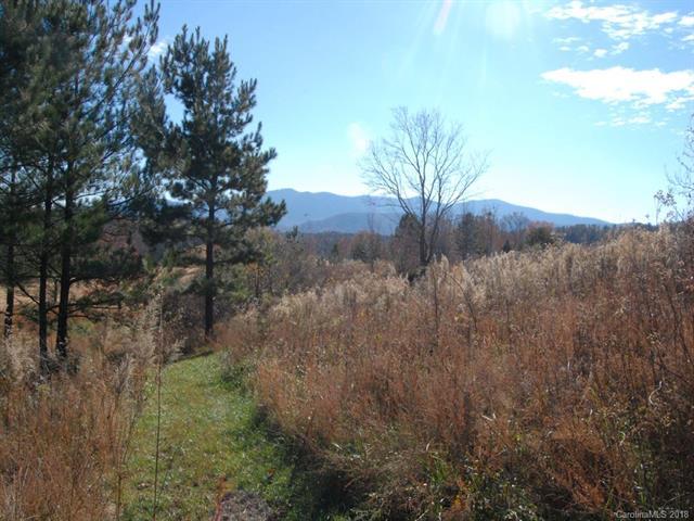 LOT 128 Deep Gap Road - Photo 1