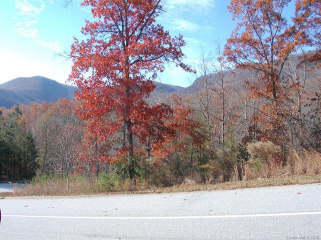 LOT 114 Deep Gap Farm Road - Photo 1
