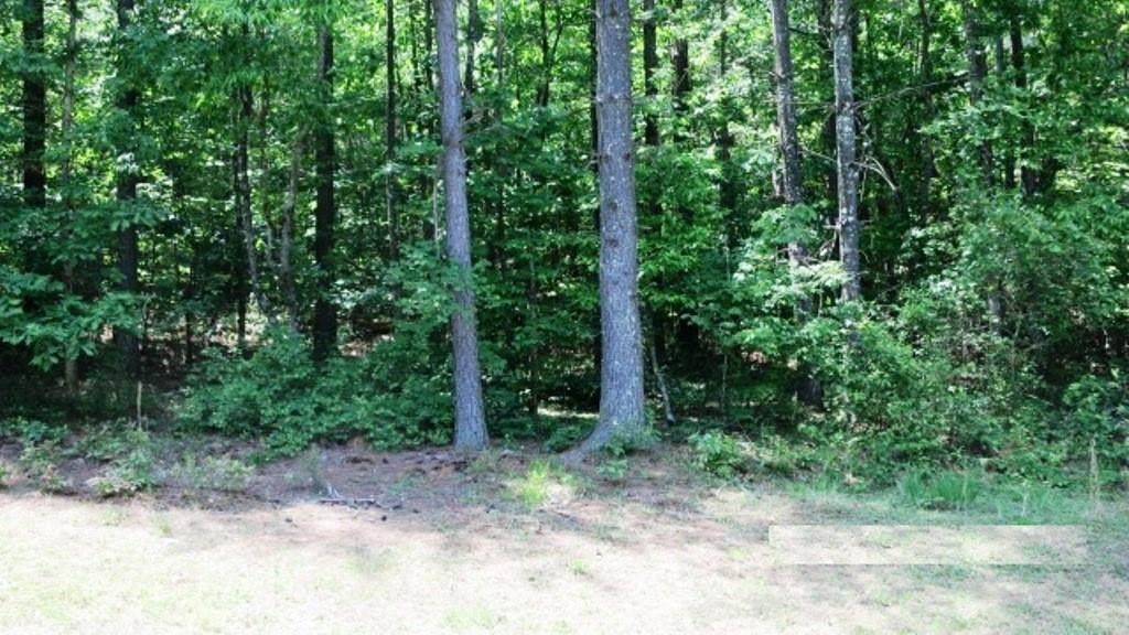 6049 Plantation Pointe Drive - Photo 1