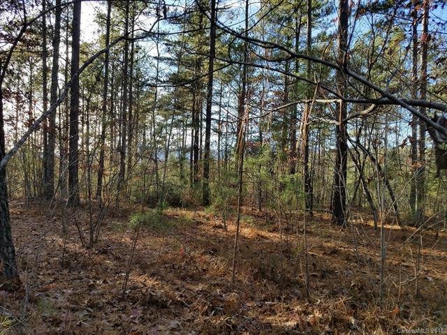 0 Loblolly Lane - Photo 1