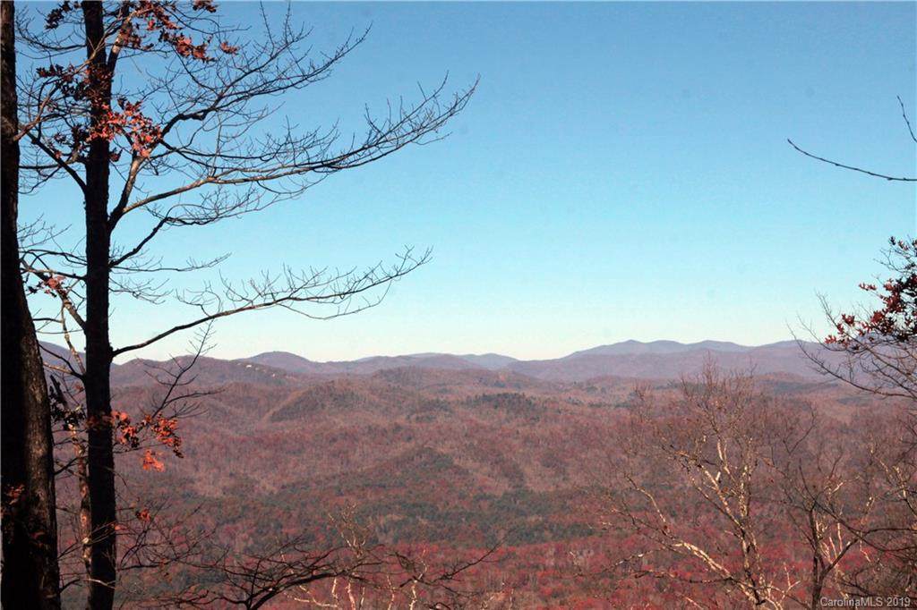 Lot 13 Devils Hole Road - Photo 1